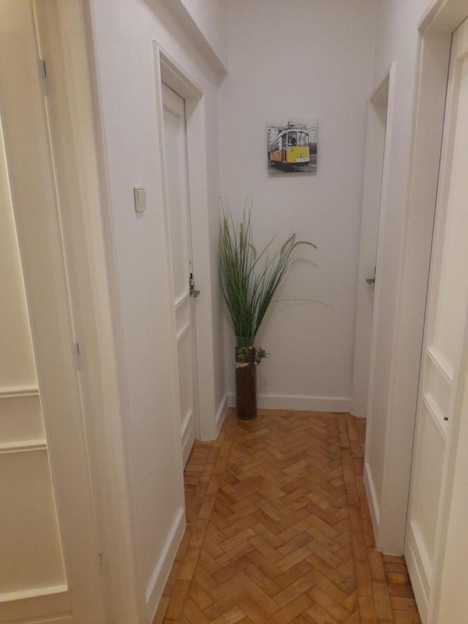 Cozy Central 3 Bedrooms Bragas Porto Exteriér fotografie